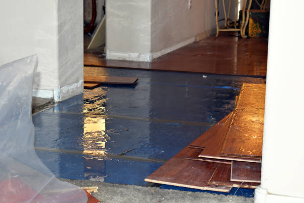 Professional Burst Pipe Cleanup technician working in Evans, WA